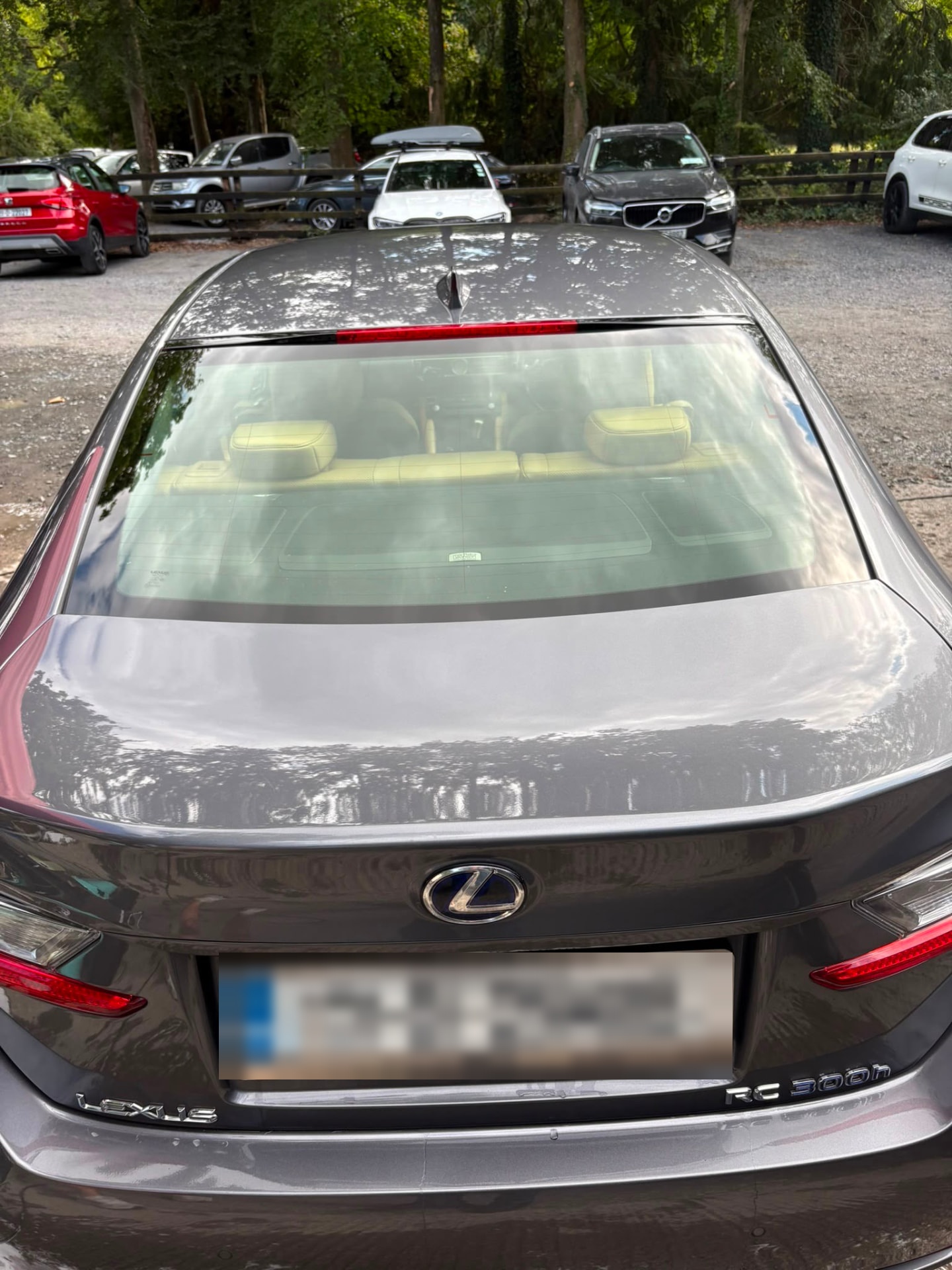 Rear of a grey Lexus RC 300h after detailing